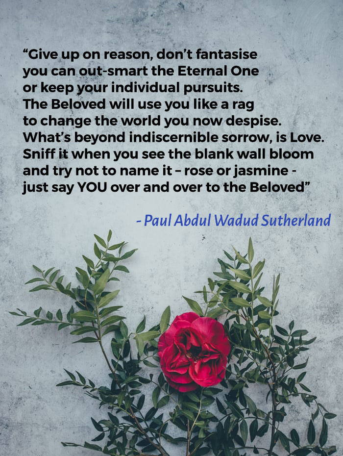 You are currently viewing The Beloved – Paul Abdul Wadud Sutherland