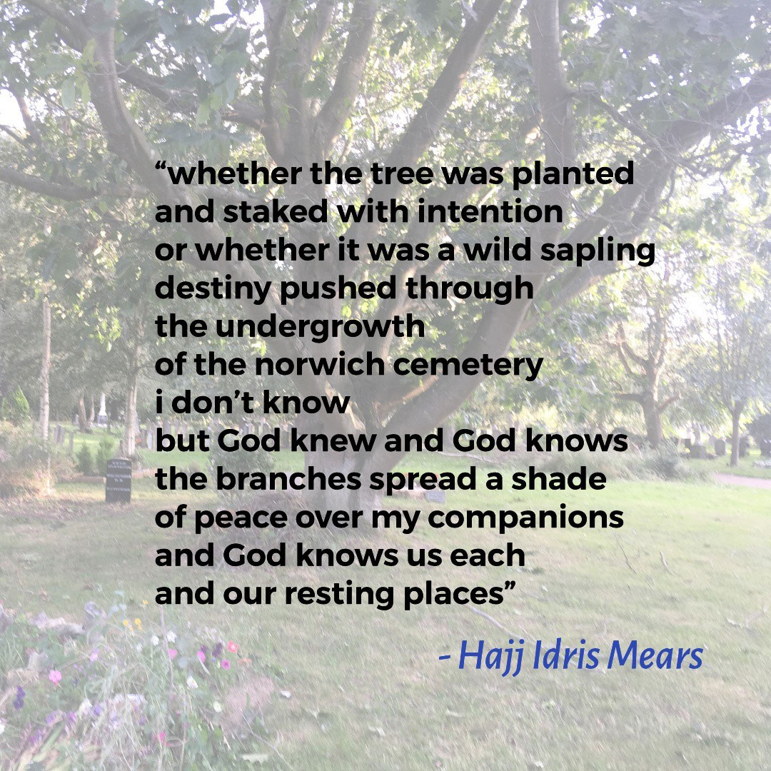 You are currently viewing guardian trees – Hajj Idris Mears