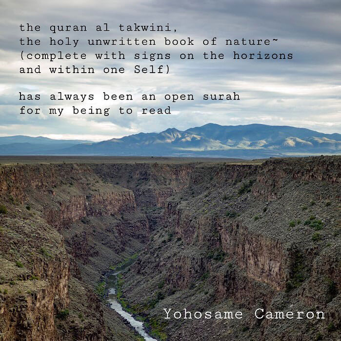 One without an other – Yohosame Cameron